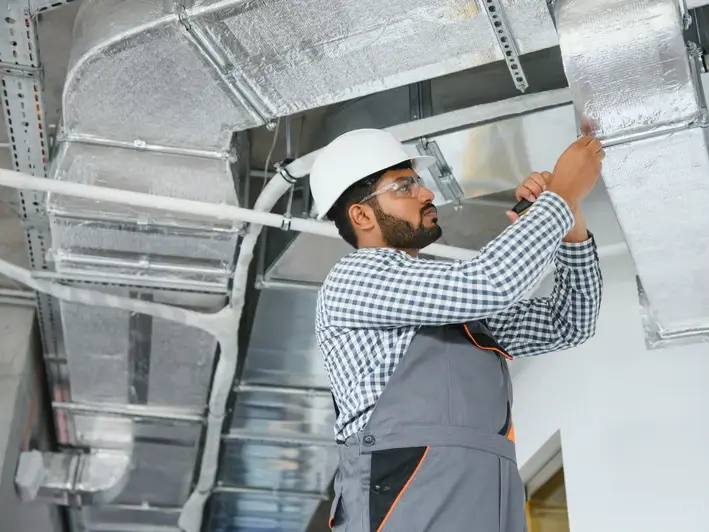 #1 Allergen Removal Services in McKenzie Lake for Cleaner Homes